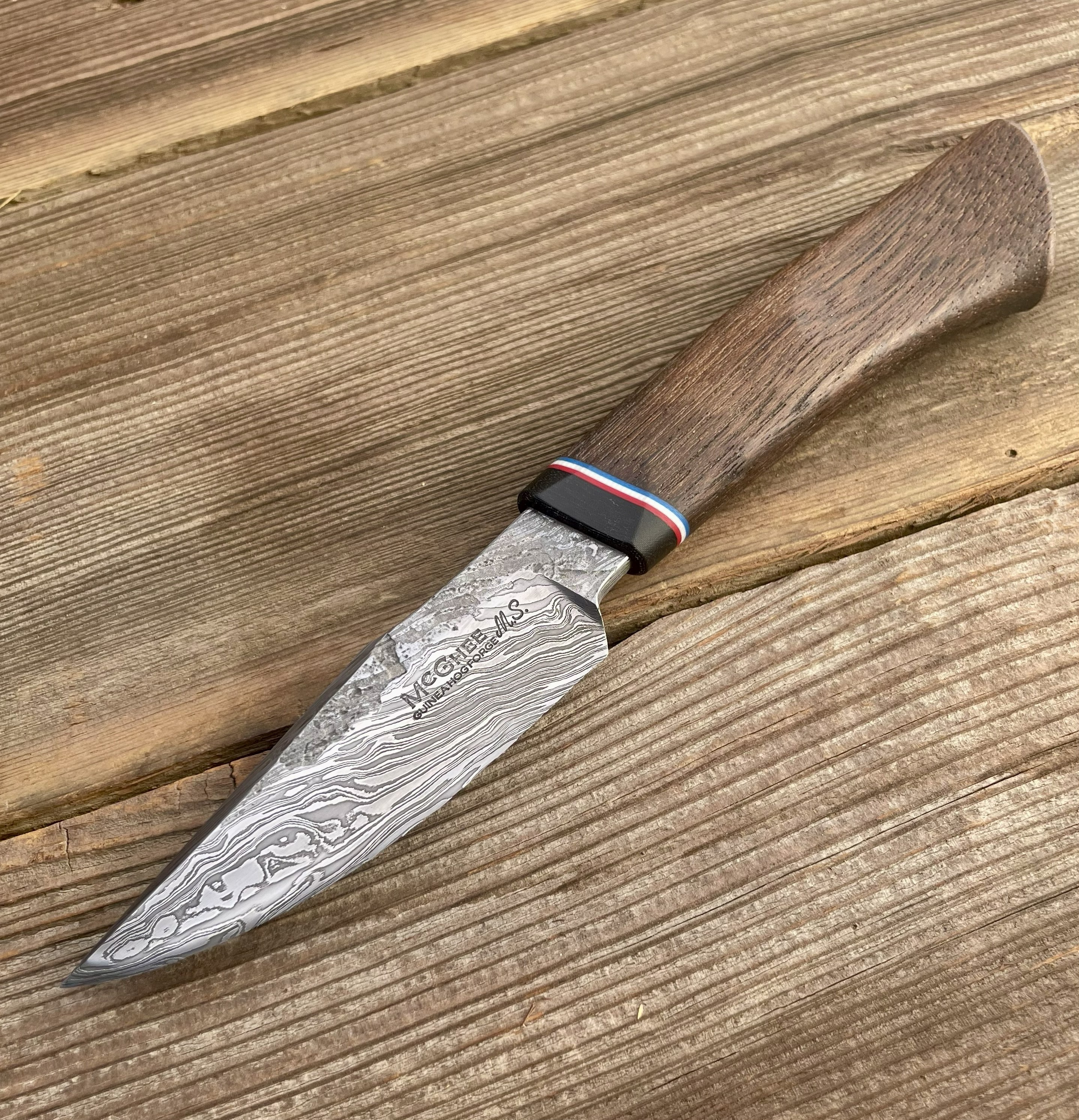 Damascus Sparrow Hawk